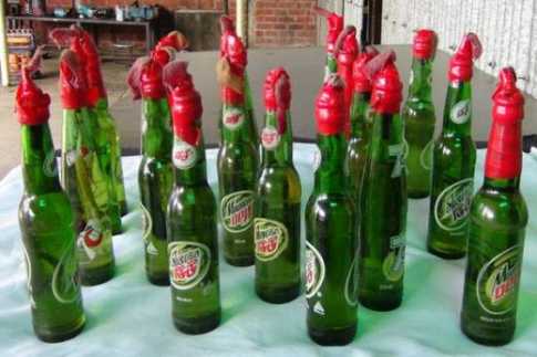পাকুন্দিয়ায় ১৬টি পেট্রলবোমা উদ্ধার